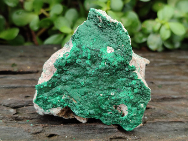 Natural Botryoidal Malachite Specimens x 6 From Congo - Toprock Gemstones and Minerals 
