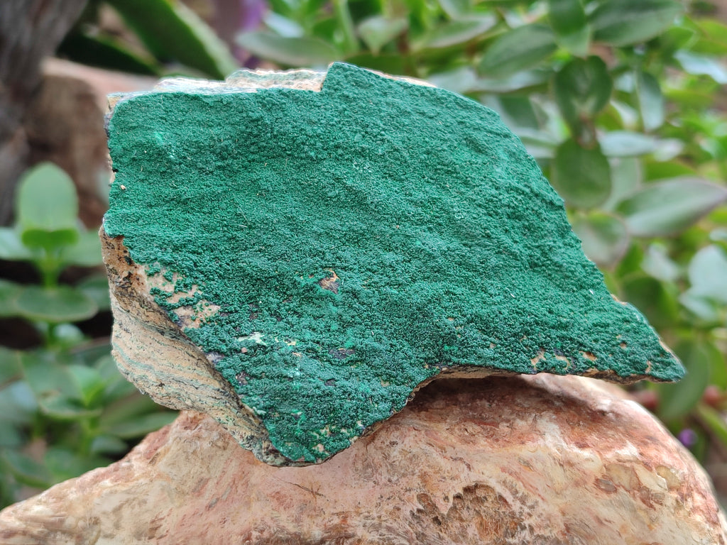 Natural Botryoidal Malachite Specimens x 6 From Congo - Toprock Gemstones and Minerals 