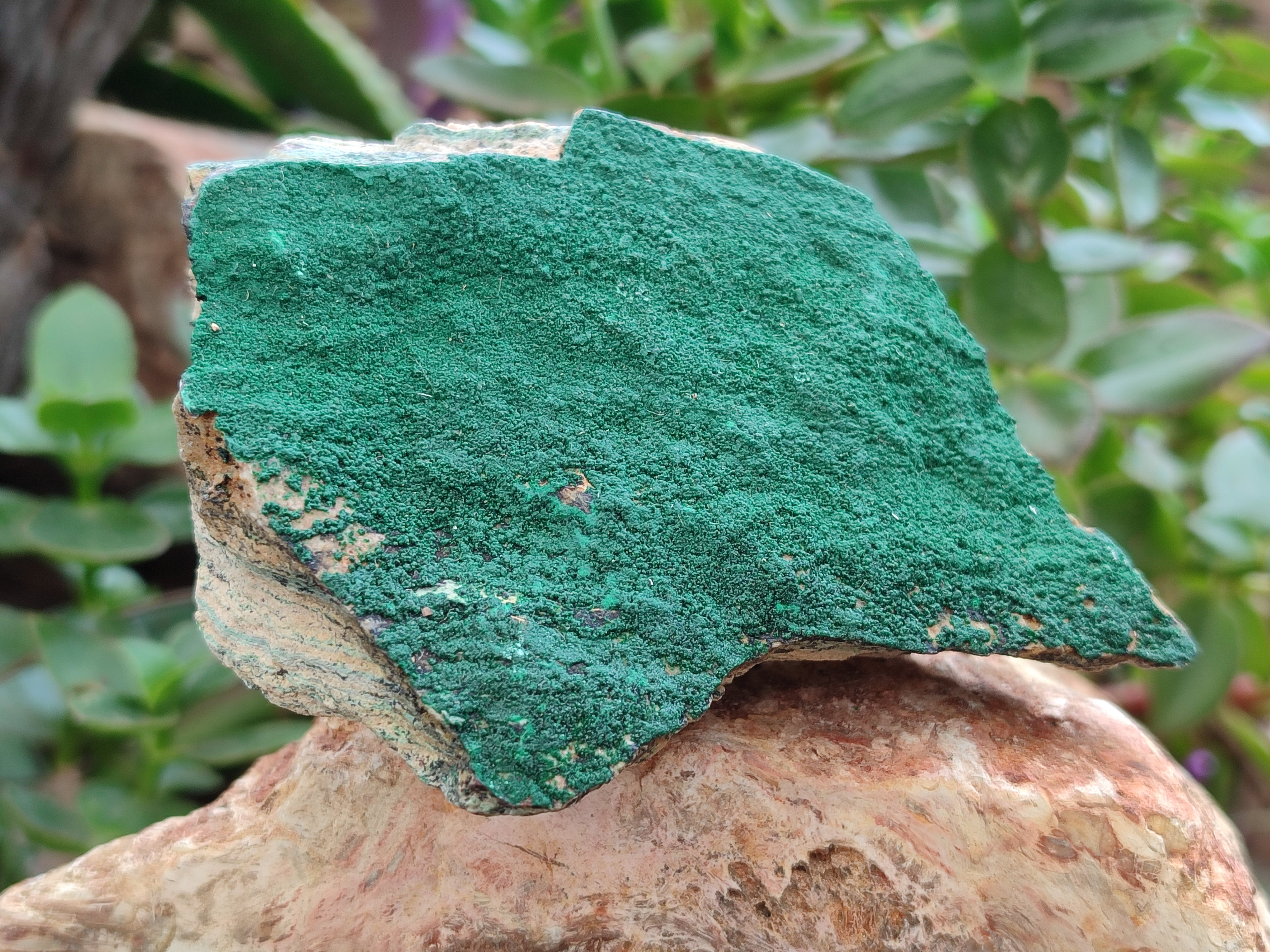 Natural Botryoidal Malachite Specimens x 6 From Congo - Toprock Gemstones and Minerals 