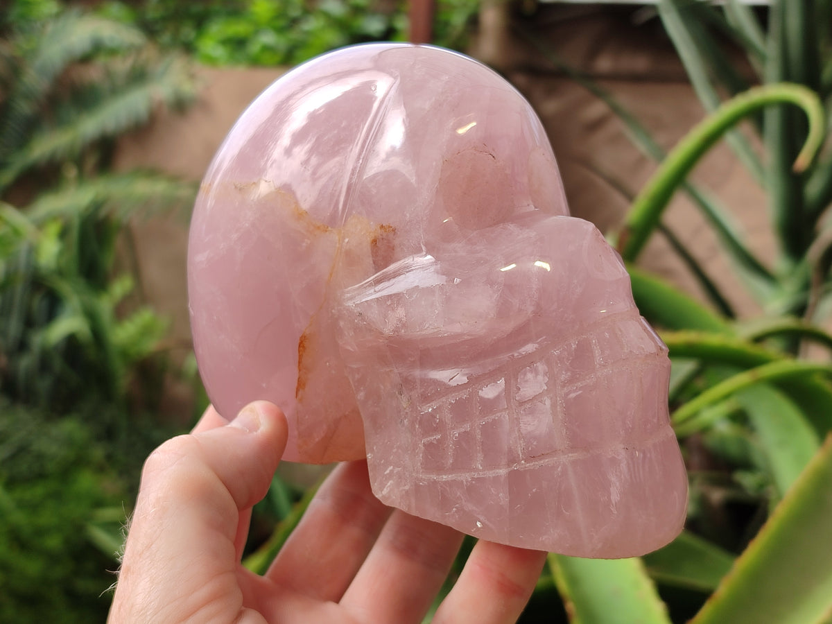 Hand Made Rose Quartz Skull Carving x 1 From Madagascar - Toprock Gemstones and Minerals 