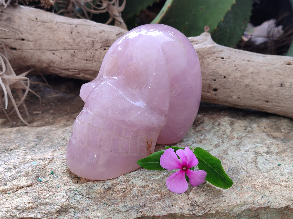 Hand Made Rose Quartz Skull Carving x 1 From Madagascar - Toprock Gemstones and Minerals 