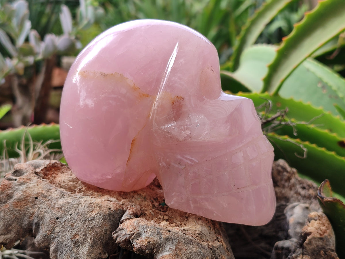 Hand Made Rose Quartz Skull Carving x 1 From Madagascar - Toprock Gemstones and Minerals 