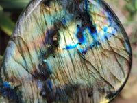 Polished Labradorite Standing Free Forms x 2 From Tulear, Madagascar - Toprock Gemstones and Minerals 