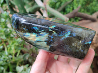 Polished Labradorite Standing Free Forms x 2 From Tulear, Madagascar - Toprock Gemstones and Minerals 