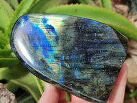 Polished Labradorite Standing Free Forms x 2 From Tulear, Madagascar - Toprock Gemstones and Minerals 