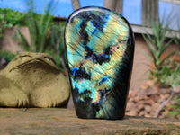 Polished Labradorite Standing Free Forms x 2 From Tulear, Madagascar - Toprock Gemstones and Minerals 