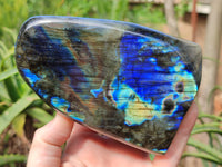 Polished Labradorite Standing Free Forms x 2 From Tulear, Madagascar - Toprock Gemstones and Minerals 