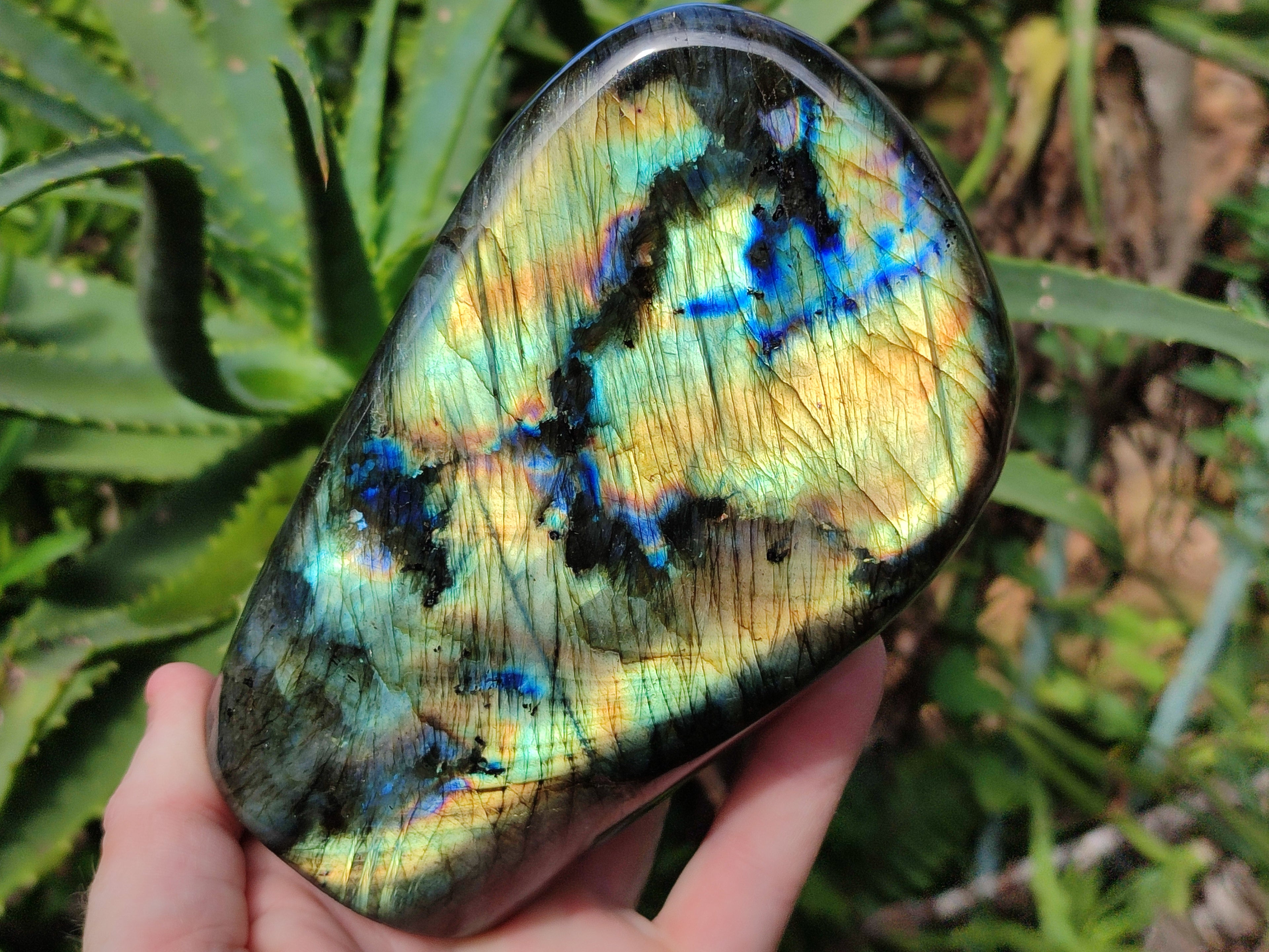 Polished Labradorite Standing Free Forms x 2 From Tulear, Madagascar - Toprock Gemstones and Minerals 