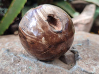 Polished Petrified Wood Spheres x 3 From Gokwe, Zimbabwe - Toprock Gemstones and Minerals 