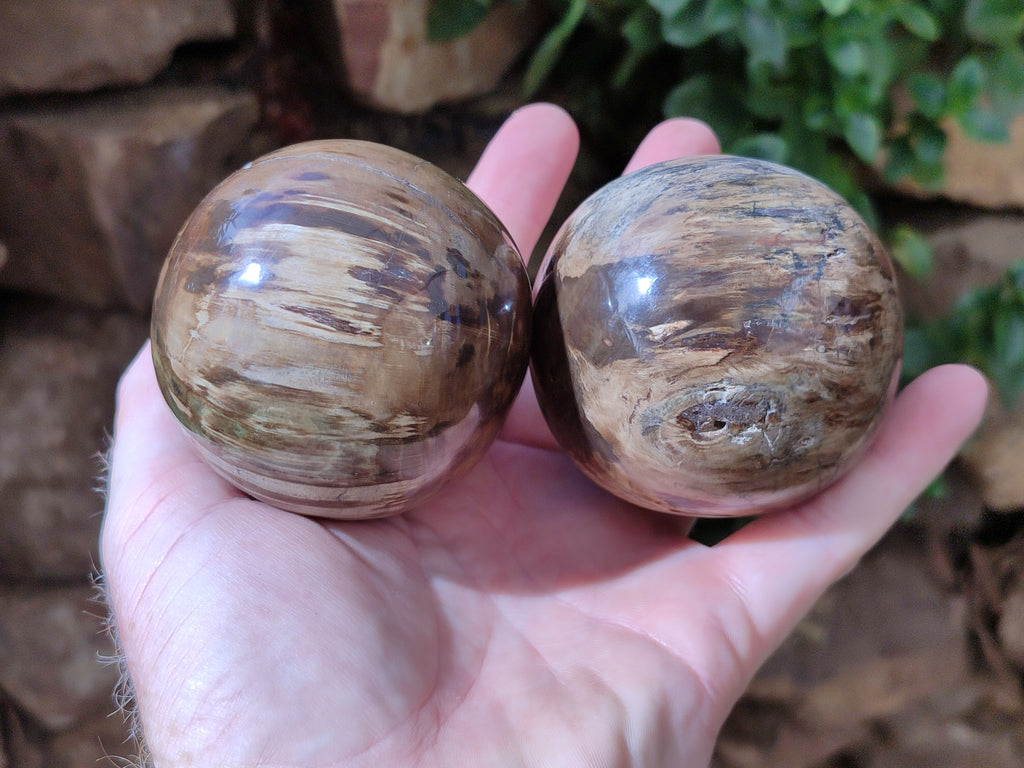Polished Petrified Wood Spheres x 3 From Gokwe, Zimbabwe - Toprock Gemstones and Minerals 