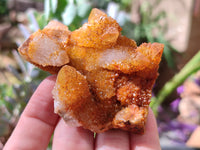 Natural Golden Solar Spirit Quartz Clusters x 12 From Boekenhouthoek, South Africa - Toprock Gemstones and Minerals 