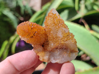 Natural Golden Solar Spirit Quartz Clusters x 12 From Boekenhouthoek, South Africa - Toprock Gemstones and Minerals 