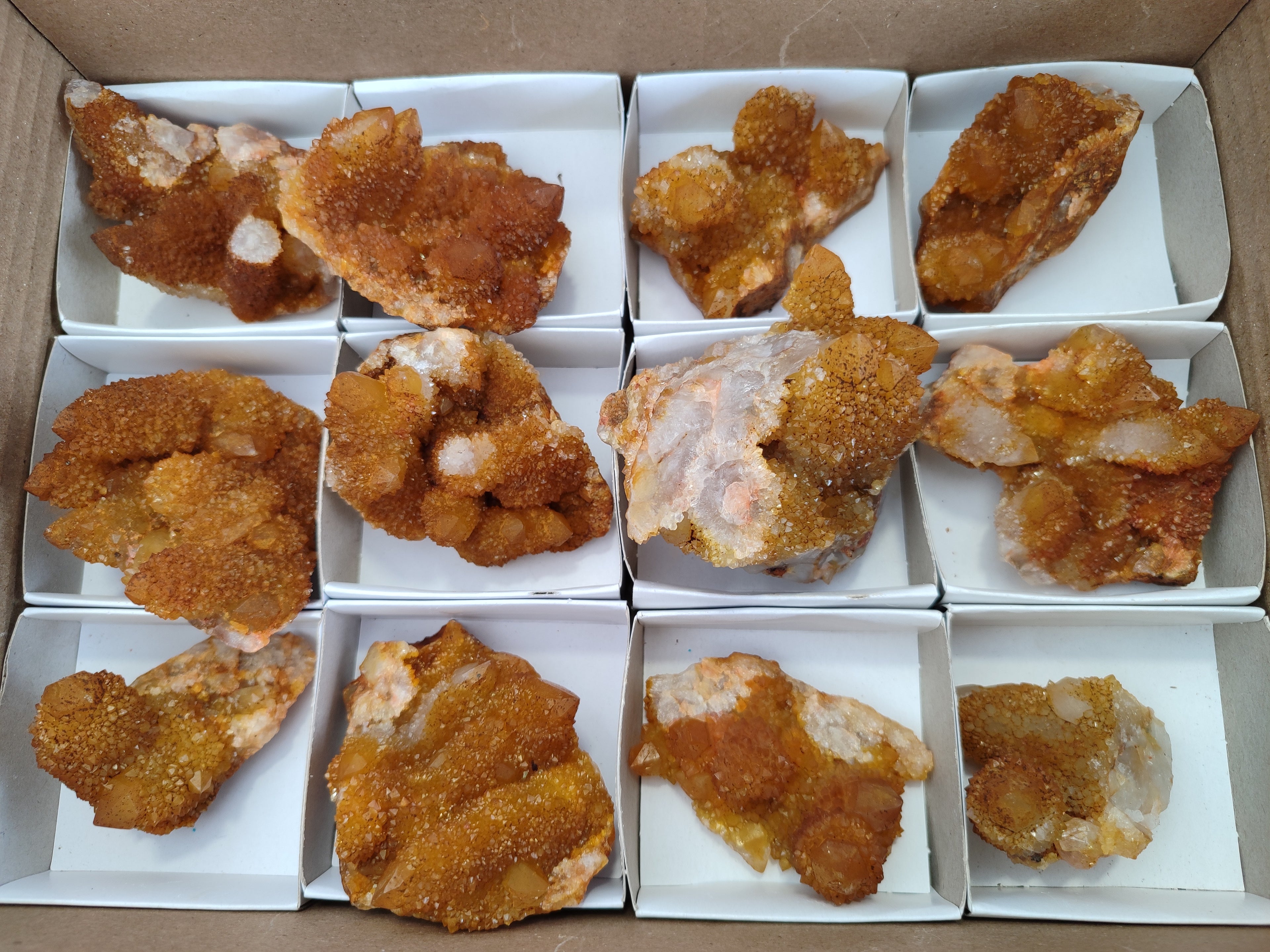 Natural Golden Solar Spirit Quartz Clusters x 12 From Boekenhouthoek, South Africa - Toprock Gemstones and Minerals 