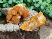 Natural Golden Solar Spirit Quartz Clusters x 12 From Boekenhouthoek, South Africa - Toprock Gemstones and Minerals 