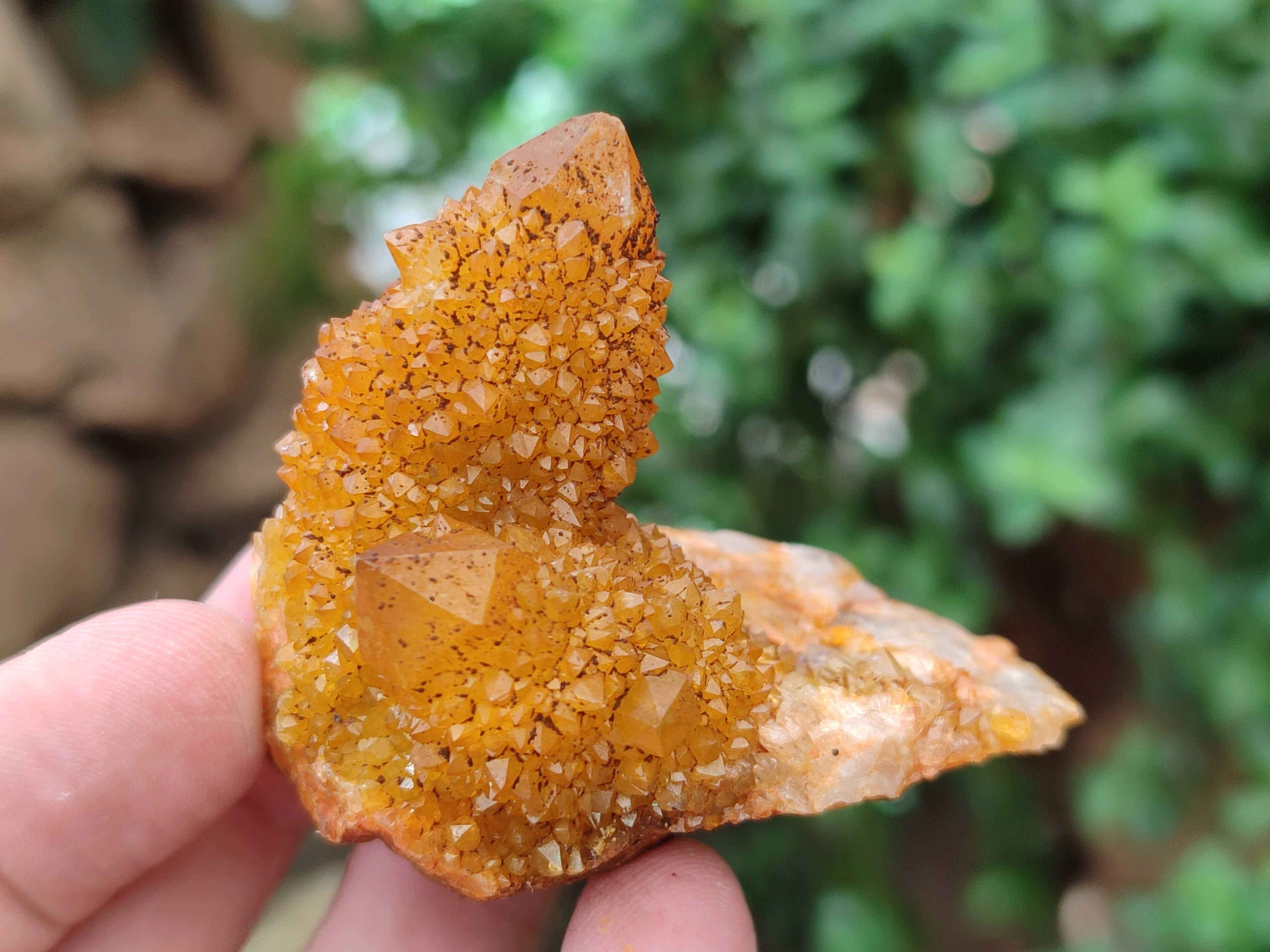 Natural Golden Solar Spirit Quartz Clusters x 12 From Boekenhouthoek, South Africa - Toprock Gemstones and Minerals 