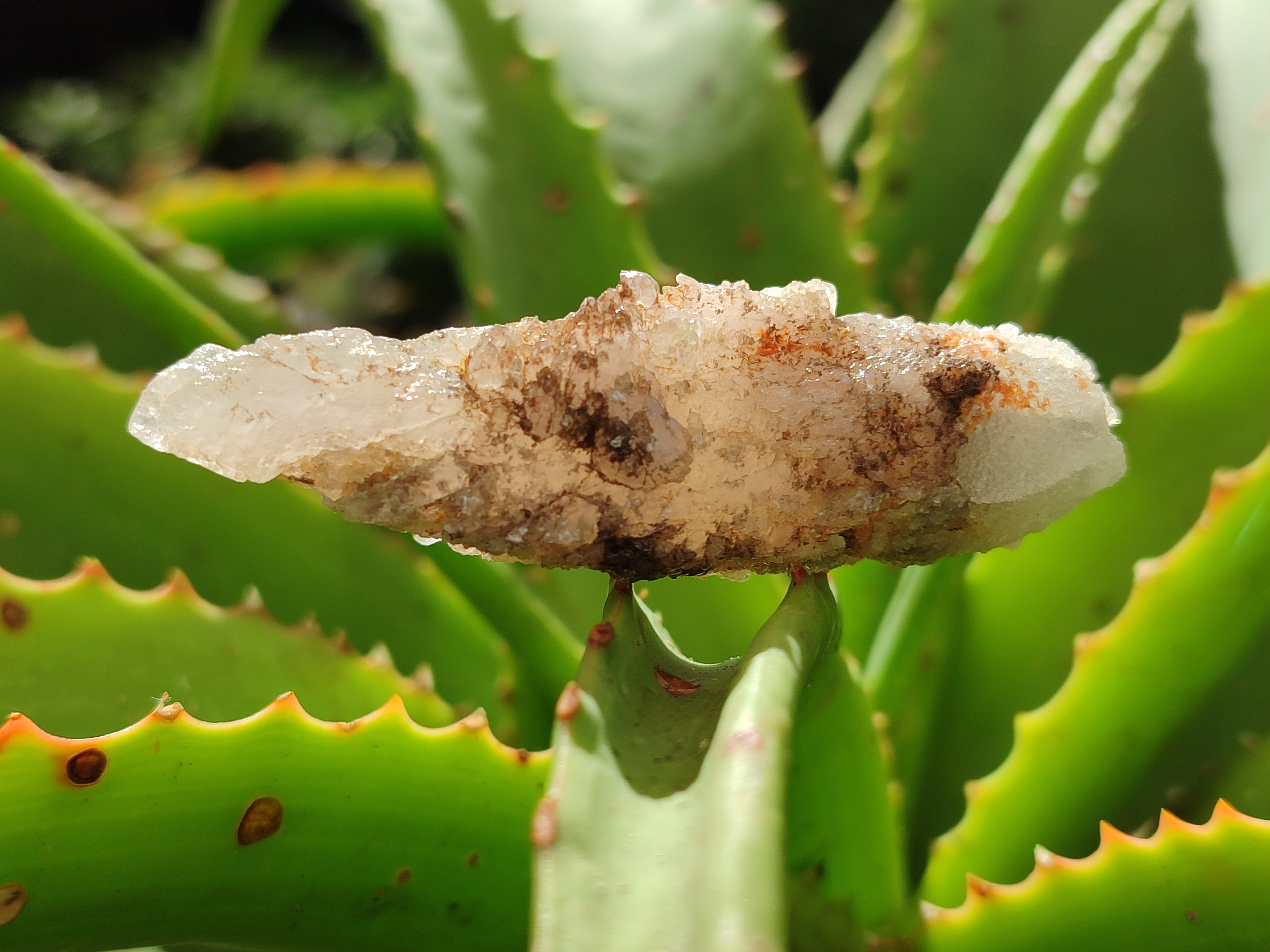 Natural Drusy Quartz Coated Calcite Pseudomorph Specimens x 20 From Lesotho - Toprock Gemstones and Minerals 