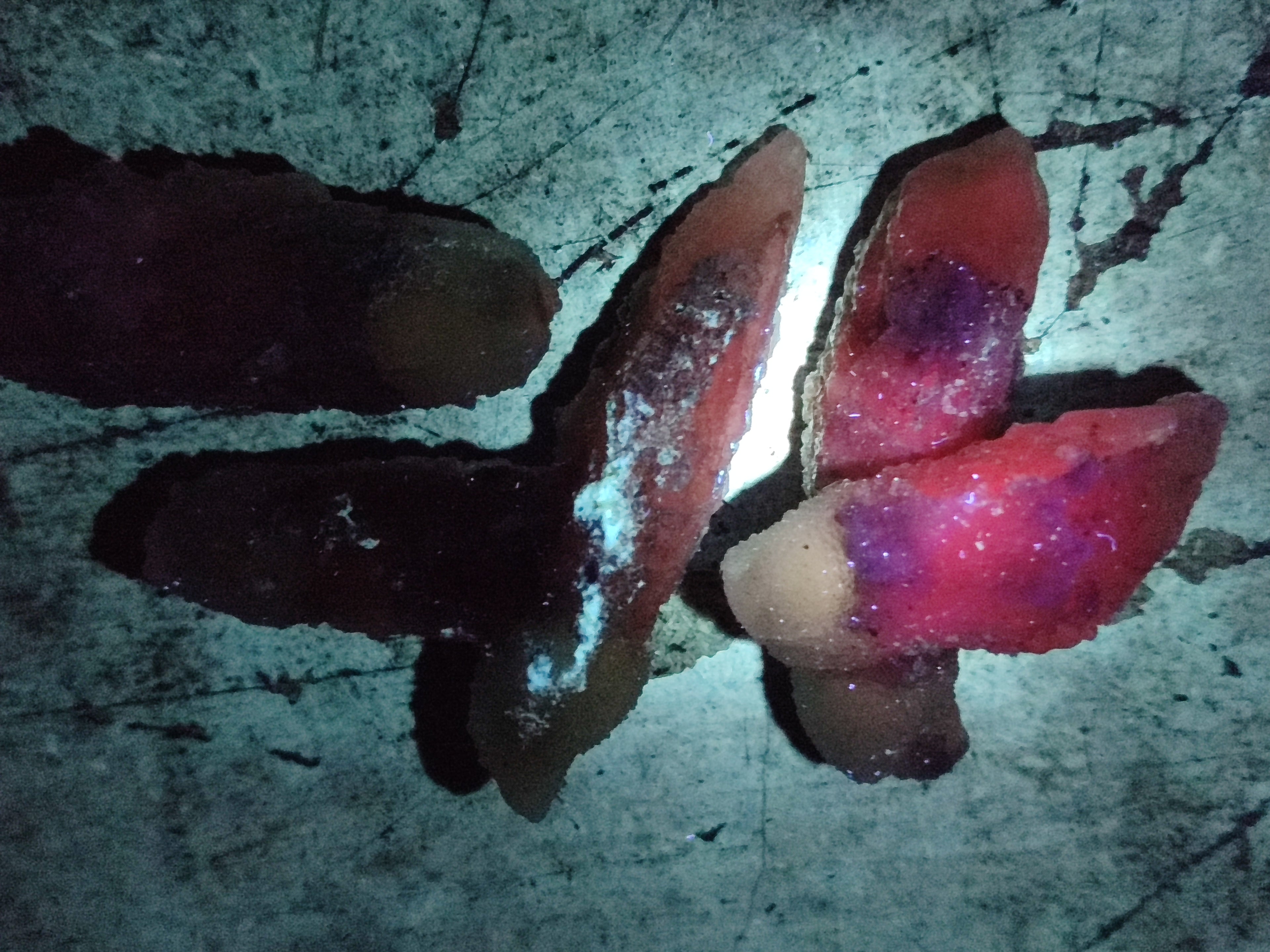Natural Drusy Quartz Coated Calcite Pseudomorph Specimens x 20 From Lesotho - Toprock Gemstones and Minerals 