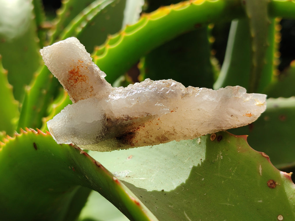 Natural Drusy Quartz Coated Calcite Pseudomorph Specimens x 20 From Lesotho - Toprock Gemstones and Minerals 