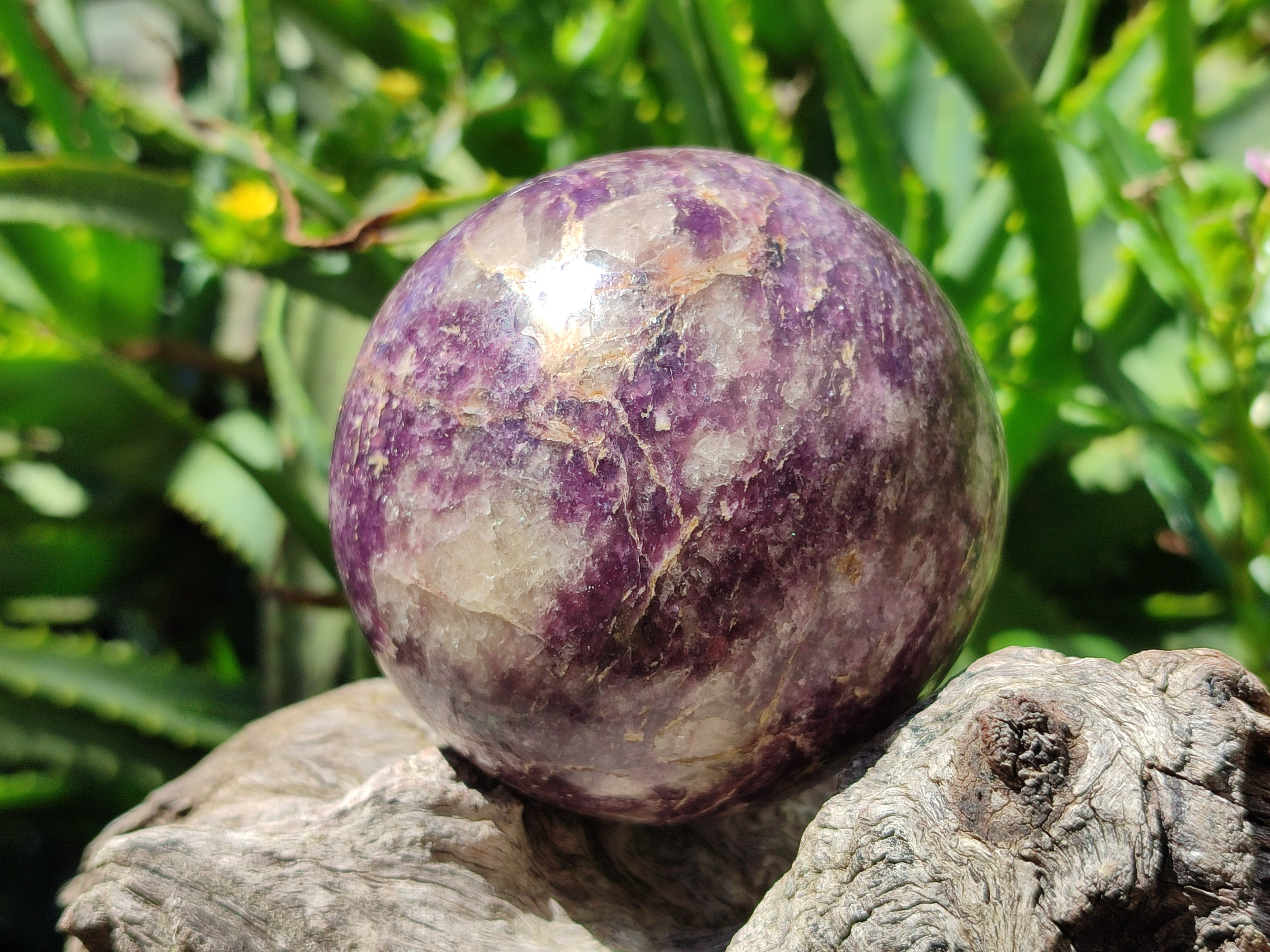 Polished Lepidolite with Pink Rubellite Spheres x 2 From Madagascar - Toprock Gemstones and Minerals 