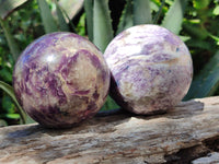 Polished Lepidolite with Pink Rubellite Spheres x 2 From Madagascar - Toprock Gemstones and Minerals 