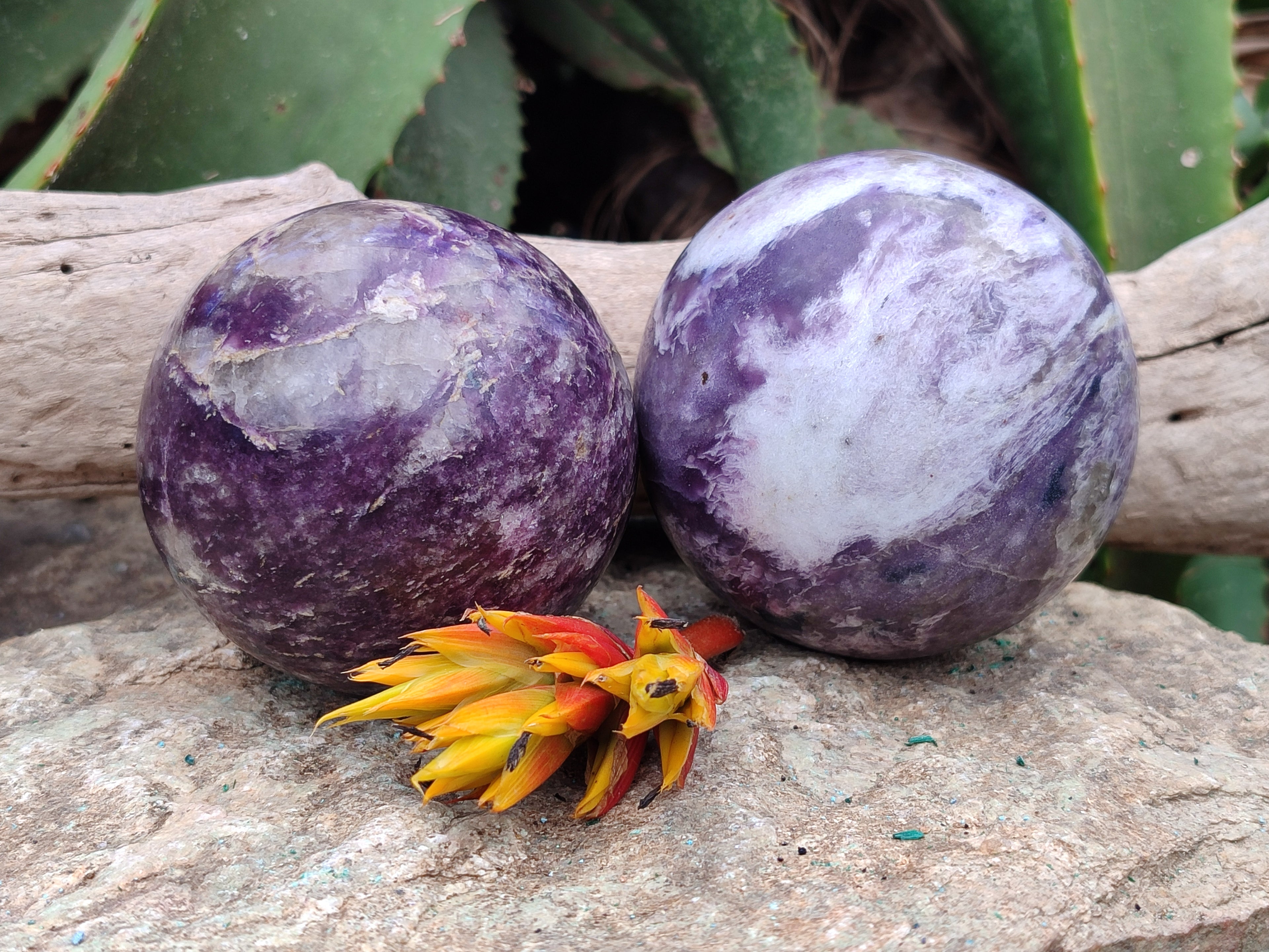 Polished Lepidolite with Pink Rubellite Spheres x 2 From Madagascar - Toprock Gemstones and Minerals 