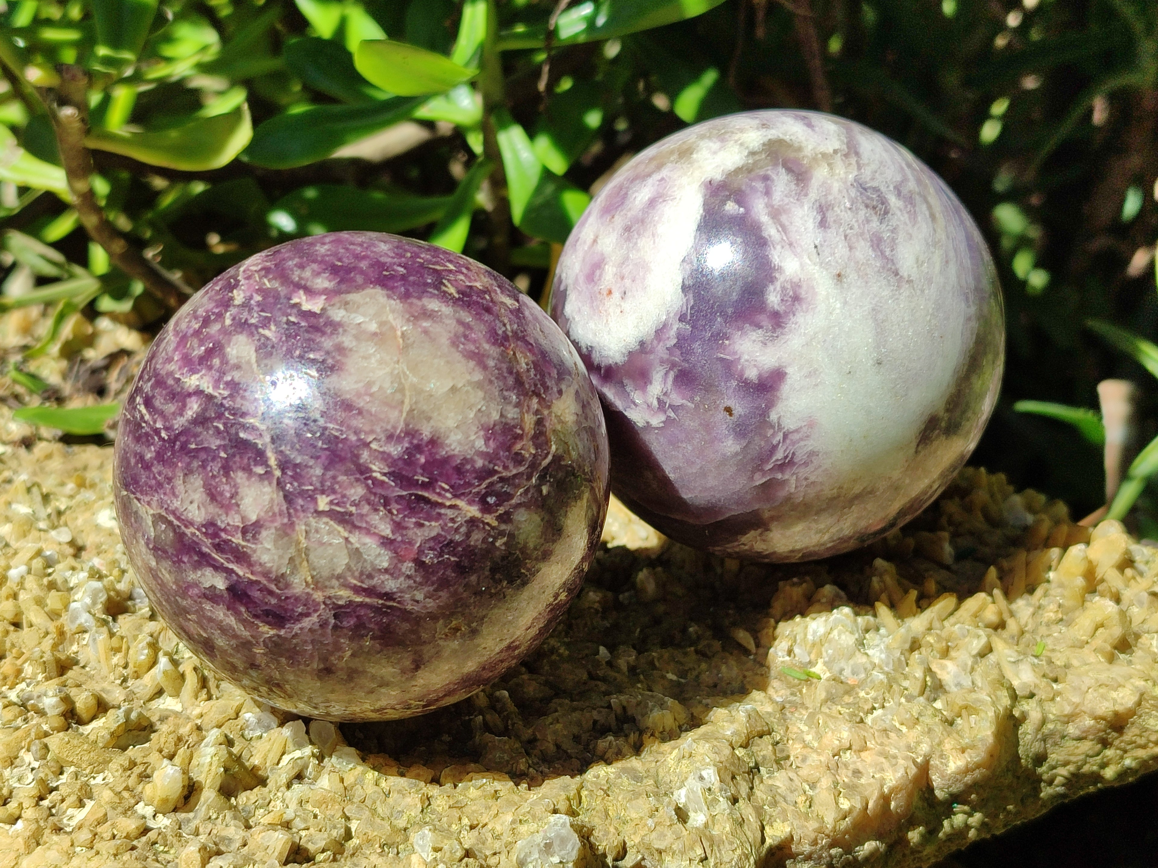 Polished Lepidolite with Pink Rubellite Spheres x 2 From Madagascar - Toprock Gemstones and Minerals 