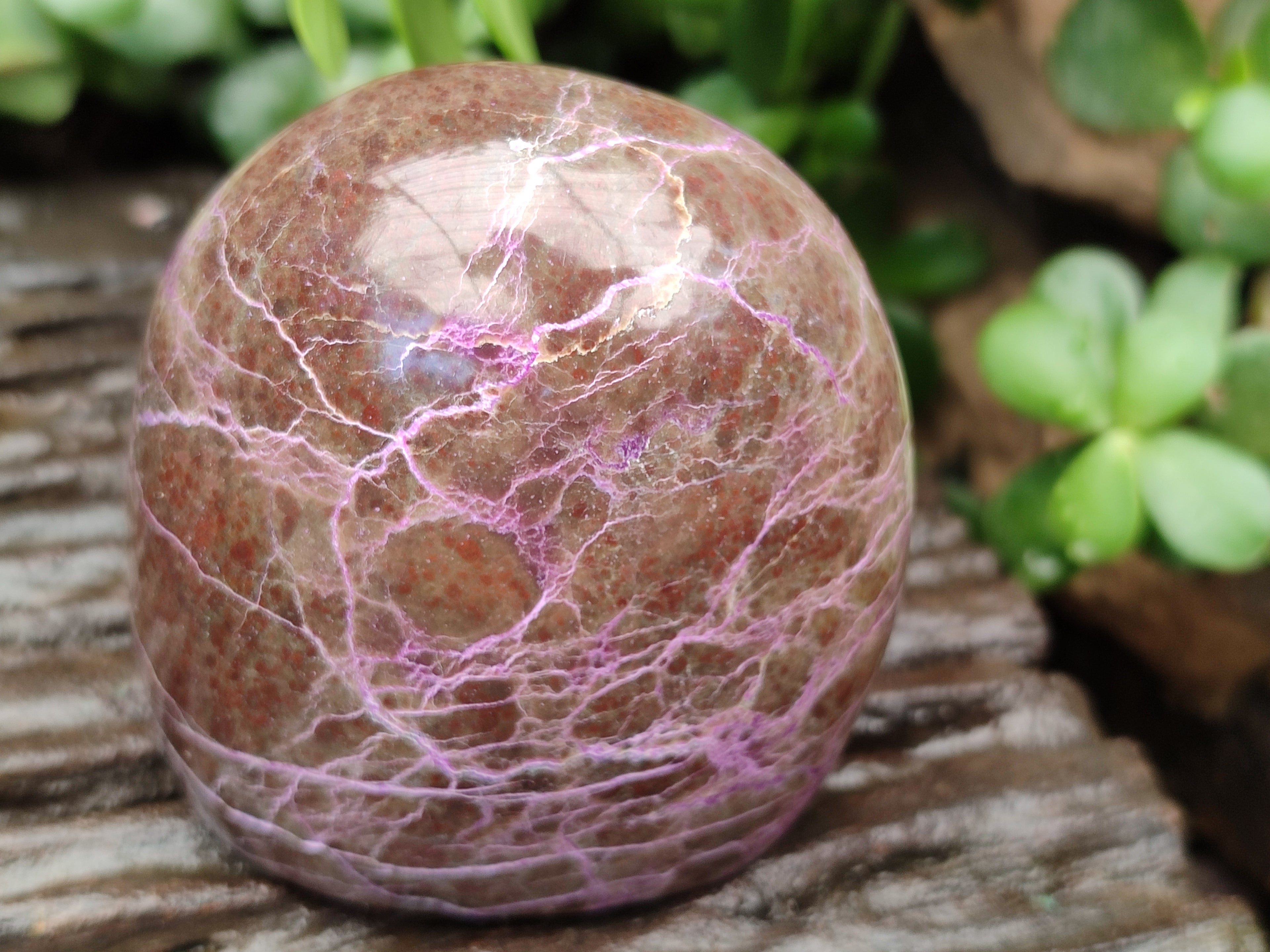 Polished Stichtite Standing Free Forms x 4 From Barberton, South Africa - Toprock Gemstones and Minerals 