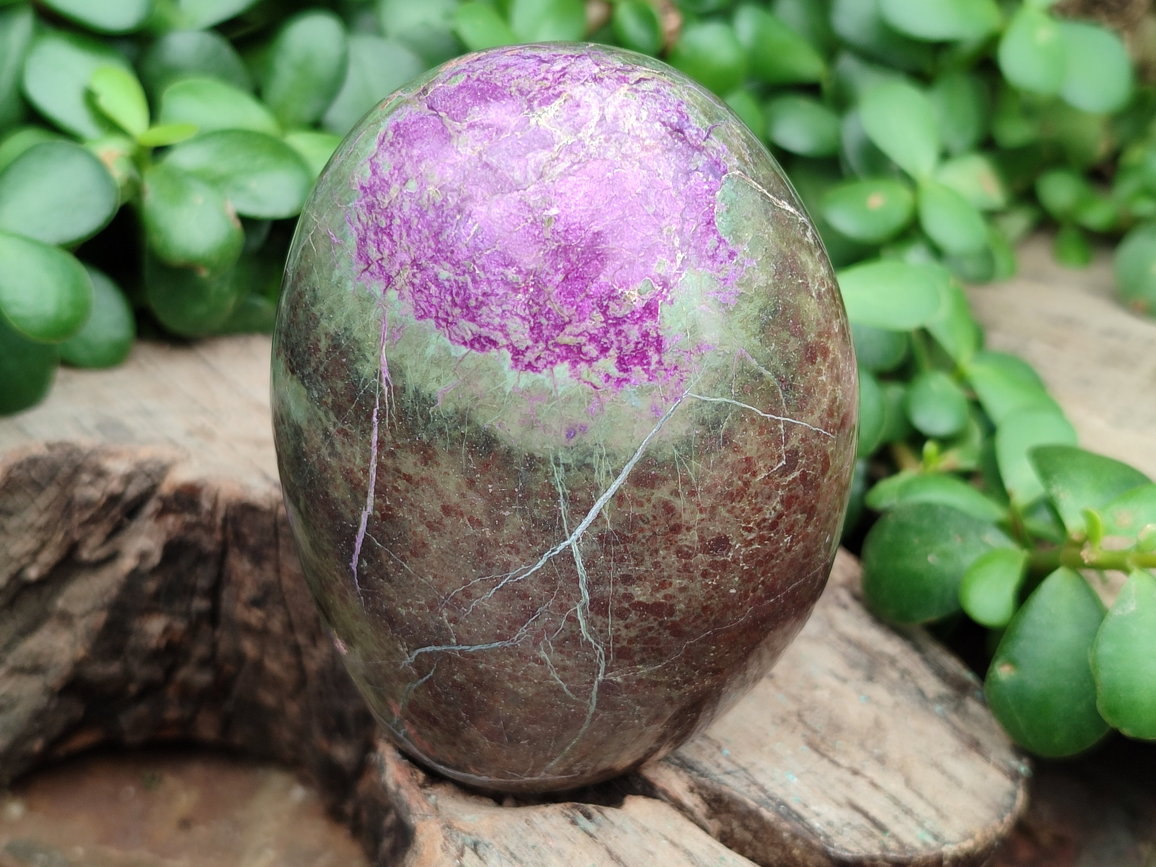 Polished Stichtite Standing Free Forms x 4 From Barberton, South Africa - Toprock Gemstones and Minerals 