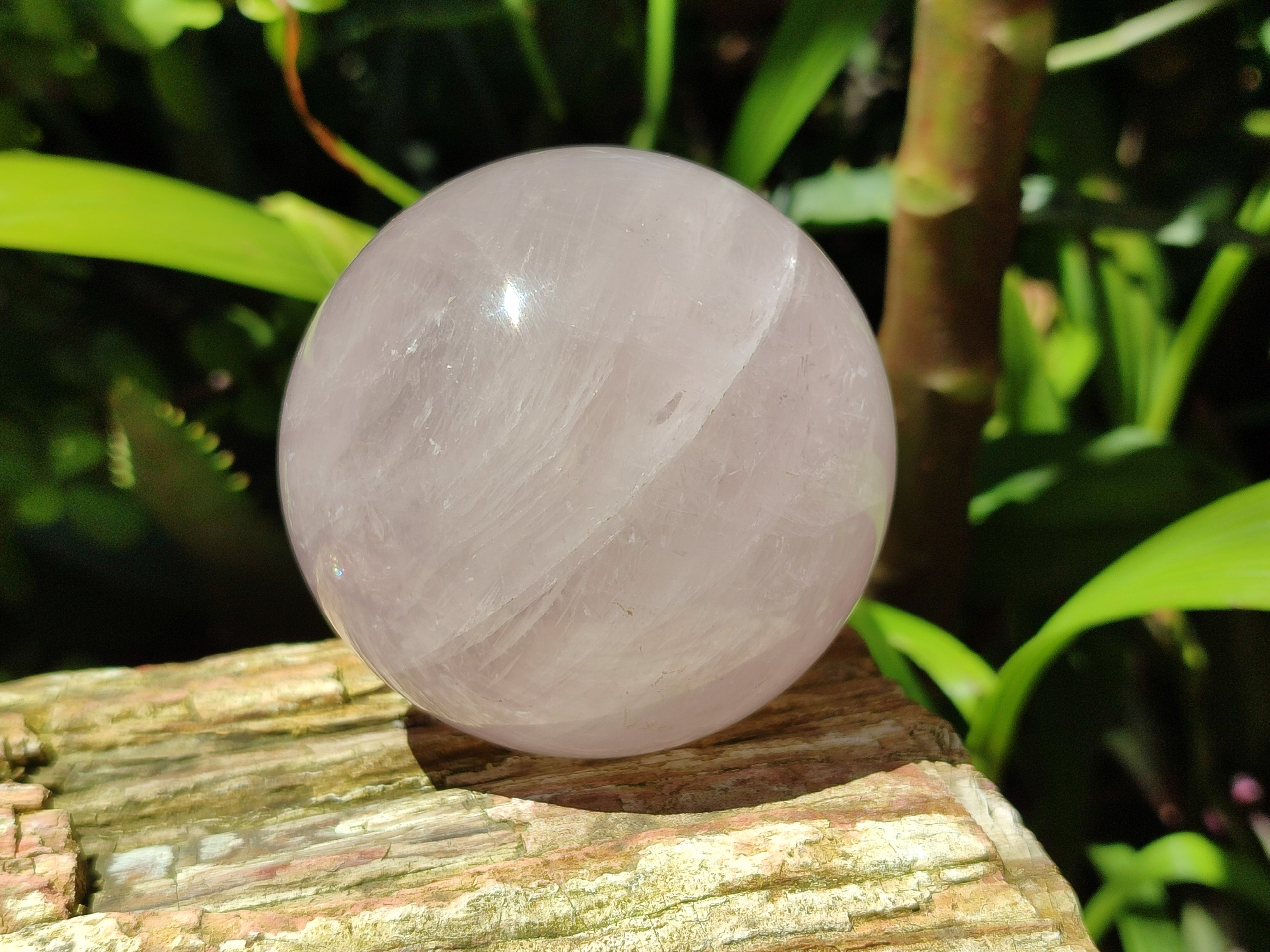 Polished Rose Quartz Spheres x 3 From Ambatondrazaka, Madagascar - Toprock Gemstones and Minerals 