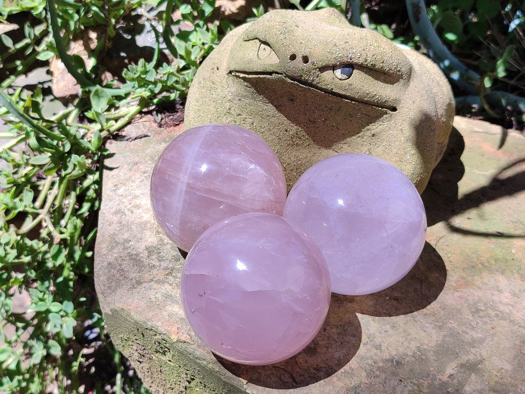 Polished Rose Quartz Spheres x 3 From Ambatondrazaka, Madagascar - Toprock Gemstones and Minerals 
