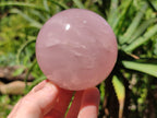 Polished Rose Quartz Spheres x 3 From Ambatondrazaka, Madagascar - Toprock Gemstones and Minerals 