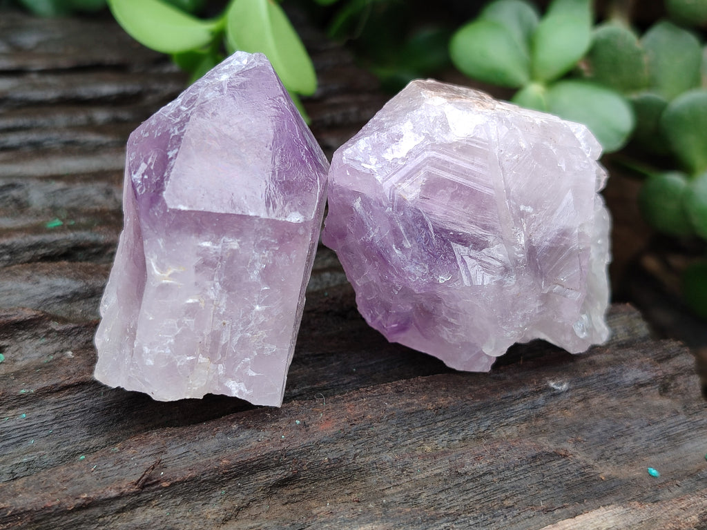 Natural Jacaranda Amethyst Single Quartz Crystals x 24 from Mumbwa, Zambia - Toprock Gemstones and Minerals 