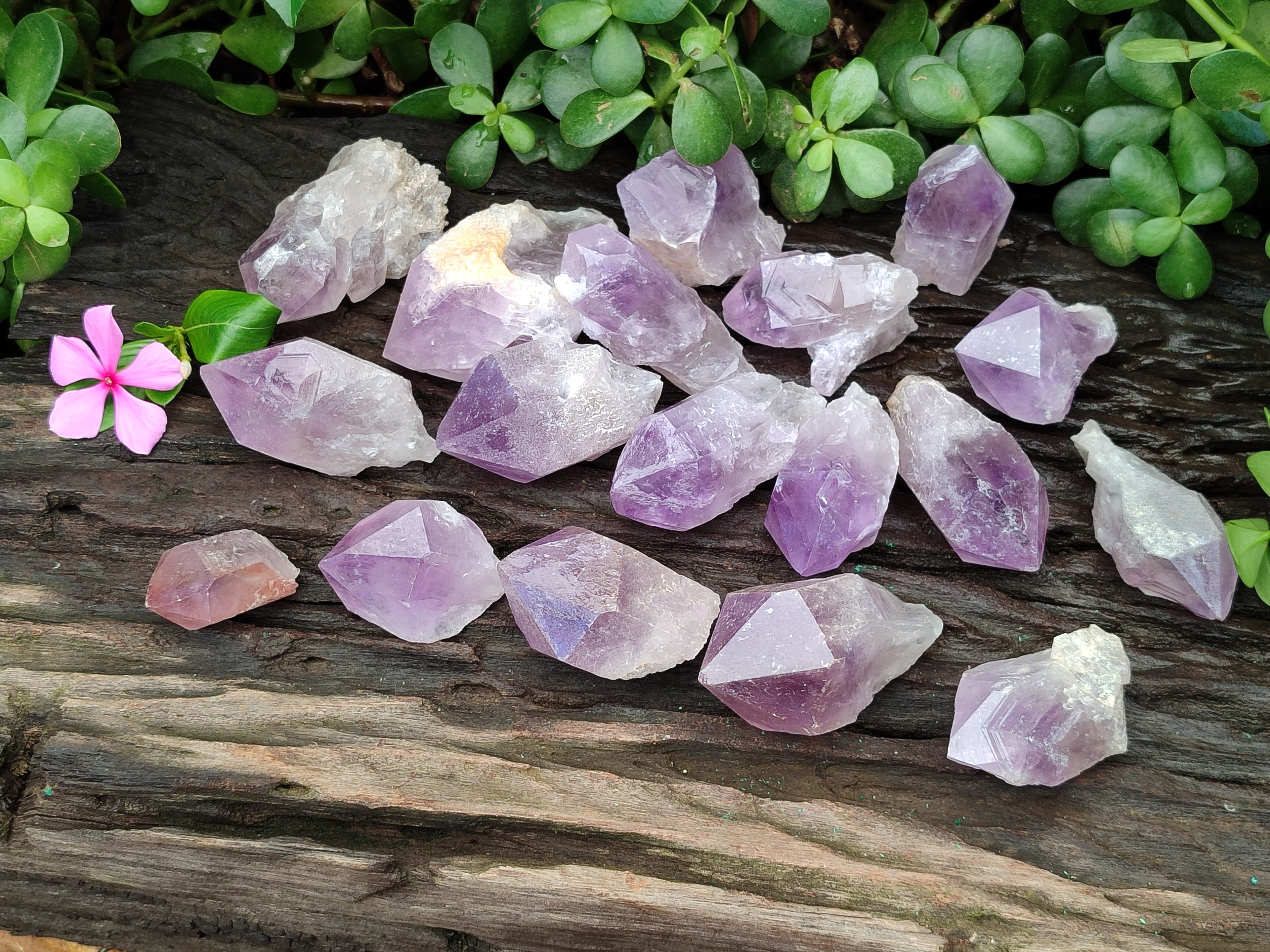 Natural Jacaranda Amethyst Single Quartz Crystals x 24 from Mumbwa, Zambia - Toprock Gemstones and Minerals 
