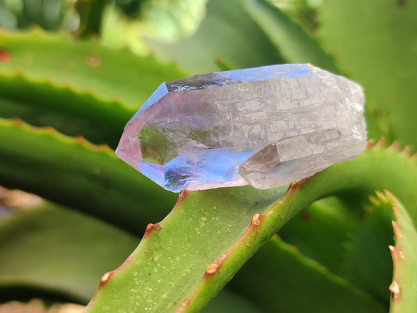 Natural Jacaranda Amethyst Single Quartz Crystals x 24 from Mumbwa, Zambia - Toprock Gemstones and Minerals 