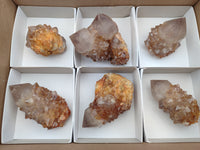 Natural Cactus Flower Spirit Quartz Clusters x 6 From South Africa