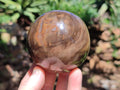 Polished Petrified Wood Spheres x 3 From Gokwe, Zimbabwe - Toprock Gemstones and Minerals 