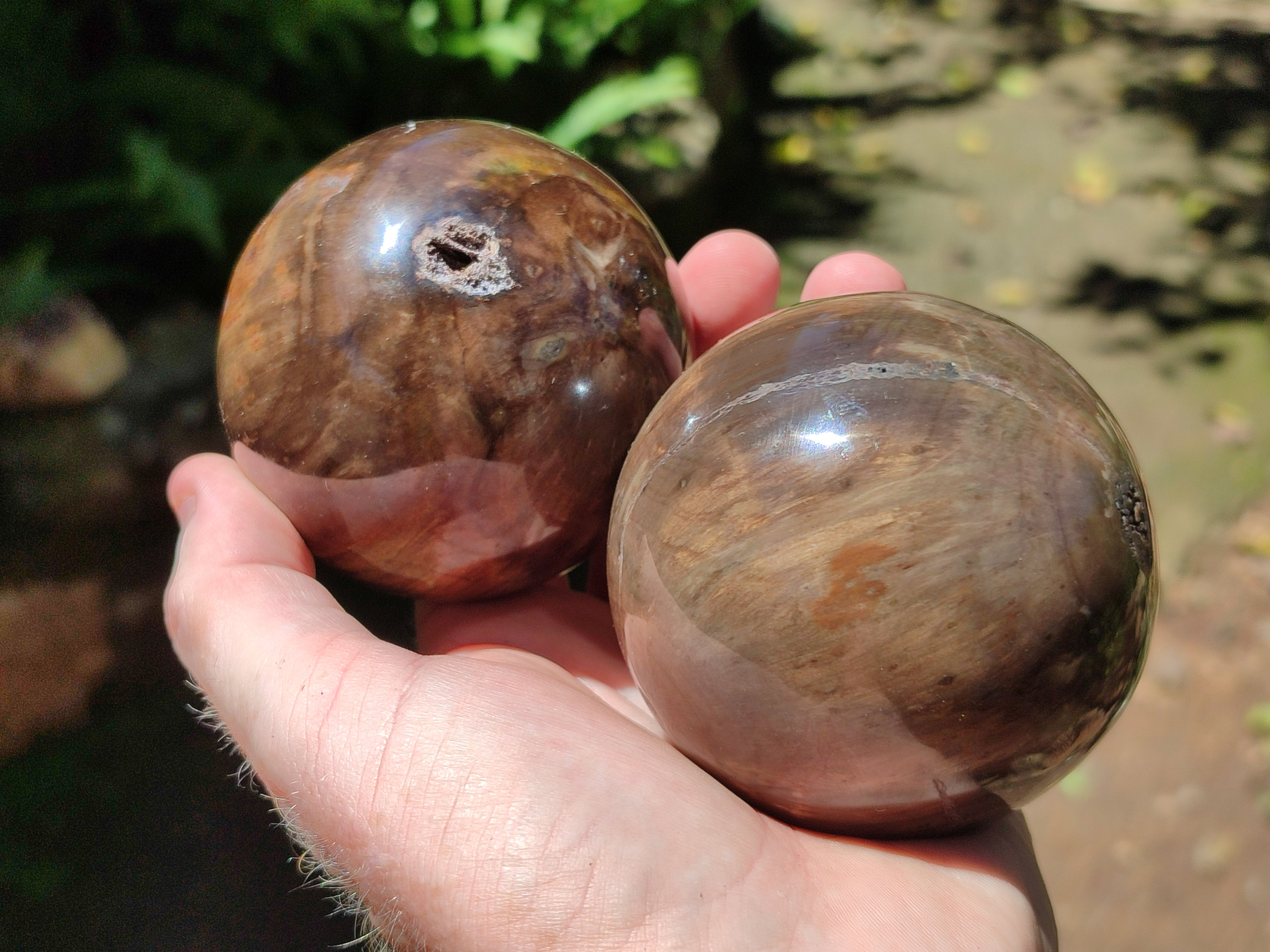 Polished Petrified Wood Spheres x 3 From Gokwe, Zimbabwe - Toprock Gemstones and Minerals 