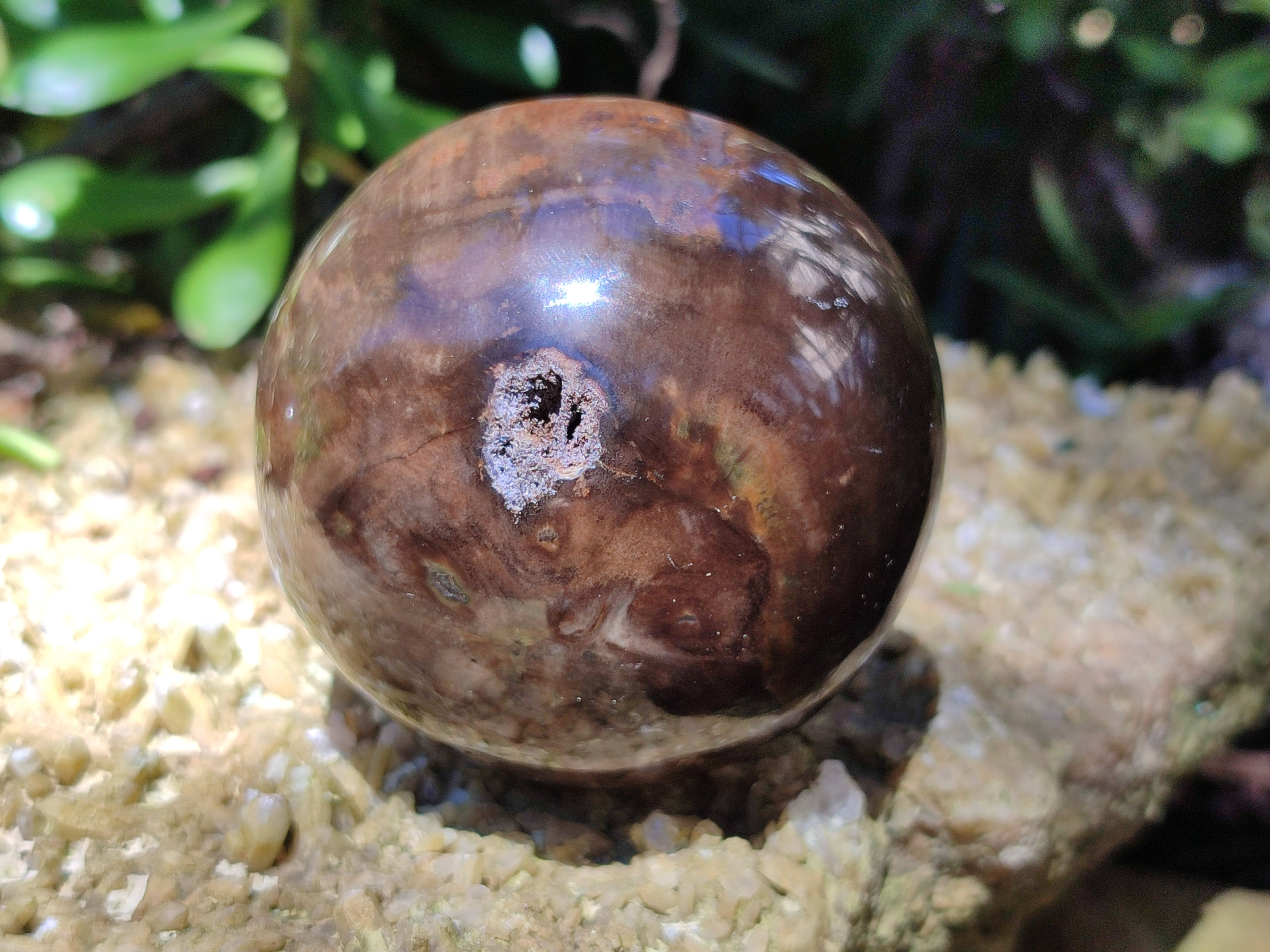Polished Petrified Wood Spheres x 3 From Gokwe, Zimbabwe - Toprock Gemstones and Minerals 