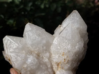 Natural Cascading Candle Quartz Clusters x 3 From Antsirabe, Madagascar - Toprock Gemstones and Minerals 