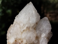 Natural Cascading Candle Quartz Clusters x 3 From Antsirabe, Madagascar - Toprock Gemstones and Minerals 