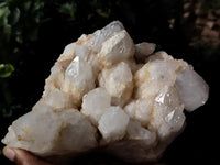 Natural Cascading Candle Quartz Clusters x 3 From Antsirabe, Madagascar - Toprock Gemstones and Minerals 