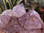 Natural Amethyst Spirit Quartz Clusters x 2 From Boekenhouthoek, South Africa - Toprock Gemstones and Minerals 