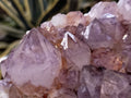 Natural Amethyst Spirit Quartz Clusters x 2 From Boekenhouthoek, South Africa - Toprock Gemstones and Minerals 