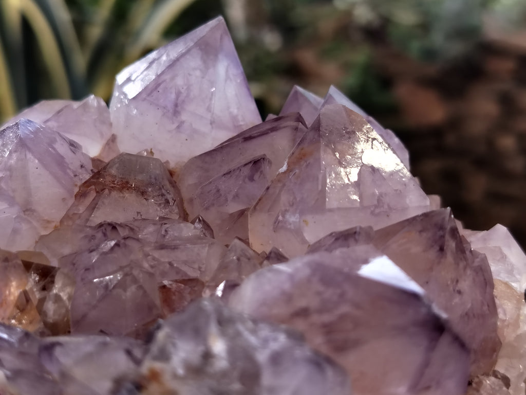 Natural Amethyst Spirit Quartz Clusters x 2 From Boekenhouthoek, South Africa - Toprock Gemstones and Minerals 