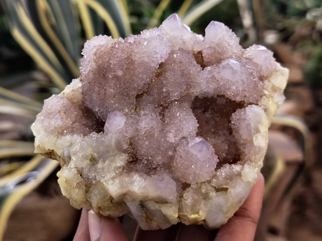 Natural Amethyst Spirit Quartz Clusters x 2 From Boekenhouthoek, South Africa - Toprock Gemstones and Minerals 