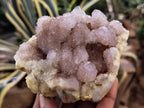 Natural Amethyst Spirit Quartz Clusters x 2 From Boekenhouthoek, South Africa - Toprock Gemstones and Minerals 