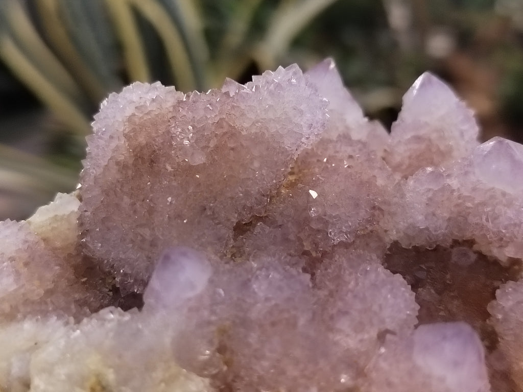 Natural Amethyst Spirit Quartz Clusters x 2 From Boekenhouthoek, South Africa - Toprock Gemstones and Minerals 