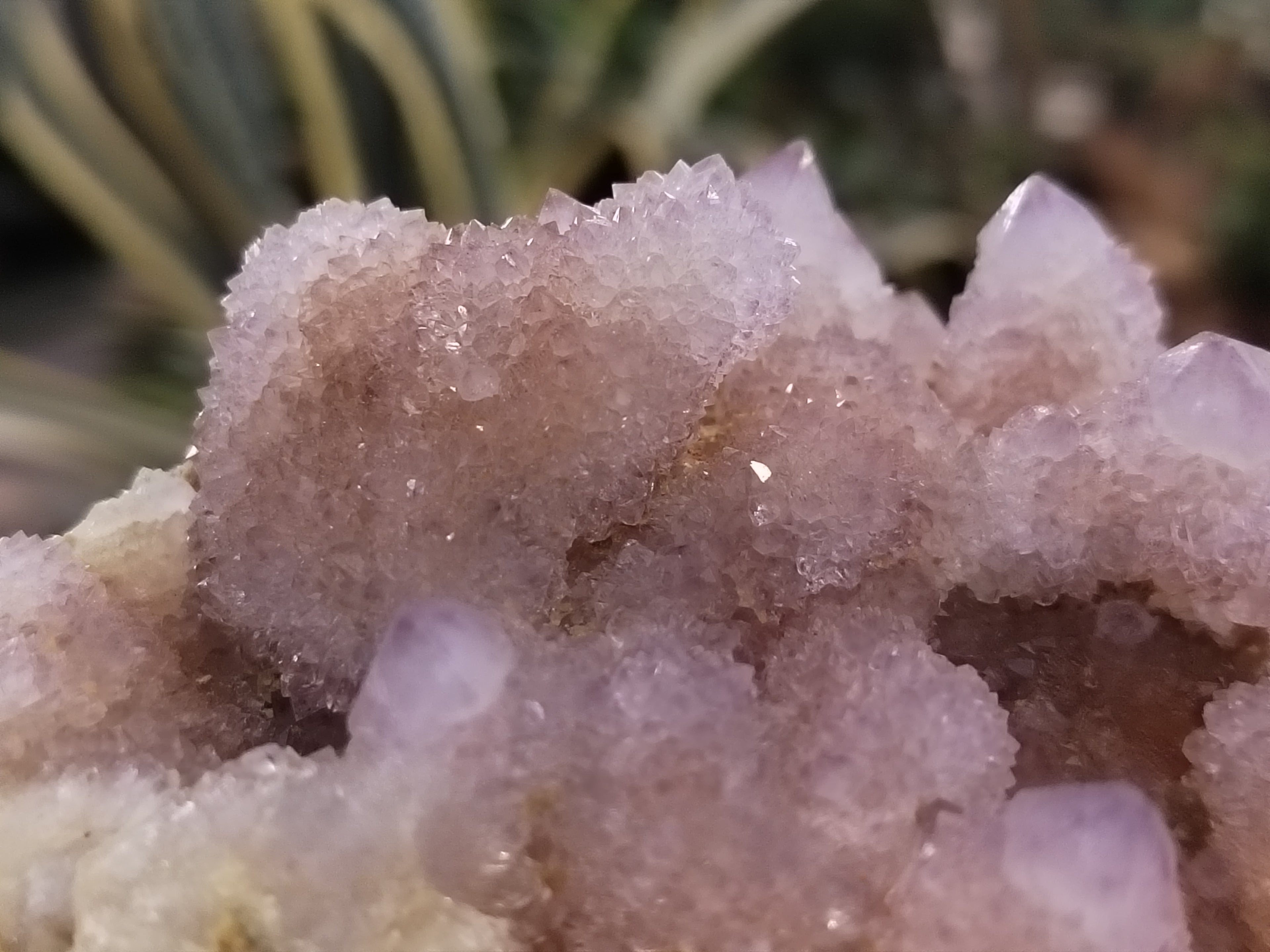Natural Amethyst Spirit Quartz Clusters x 2 From Boekenhouthoek, South Africa - Toprock Gemstones and Minerals 