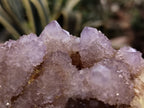 Natural Amethyst Spirit Quartz Clusters x 2 From Boekenhouthoek, South Africa - Toprock Gemstones and Minerals 