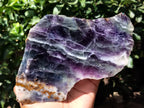 Polished Watermelon Fluorite Slices x 2 From Uis, Namibia - Toprock Gemstones and Minerals 